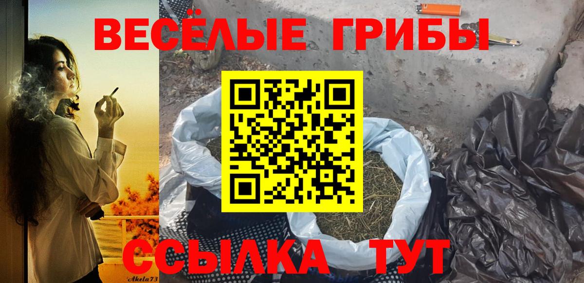 Галлюциногенные грибы ЛСД  Вход с VPN  Людиново  Галлюциногенные грибы Cubensis 